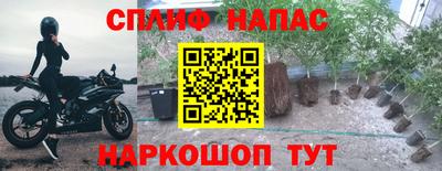 герыч Будённовск