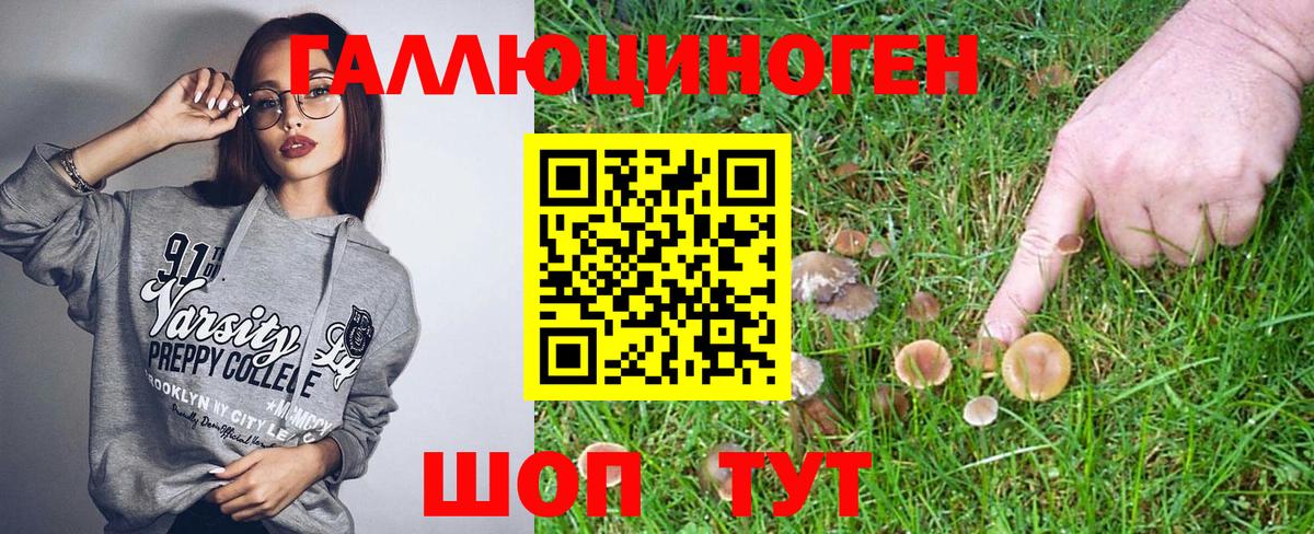 Галлюциногенные грибы Psilocybe Кудымкар