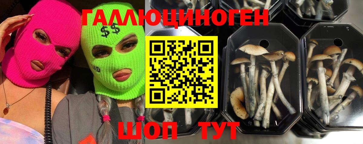 Псилоцибиновые грибы мухоморы  Вход с VPN  Кудымкар 